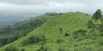 നീശ്വരന്‍കുന്ന് വ്യൂ പോയന്റ്‌