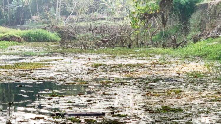 കുറ്റൂര്‍ പുത്തന്‍തോട് പാല (തെക്കുമുറി പാലം)ത്തിന്റെ നിര്‍മ്മാണം നടക്കുന്നതിനാല്‍ വരട്ടാറിലെ നീരൊഴുക്ക് നിലച്ച നിലയില്‍