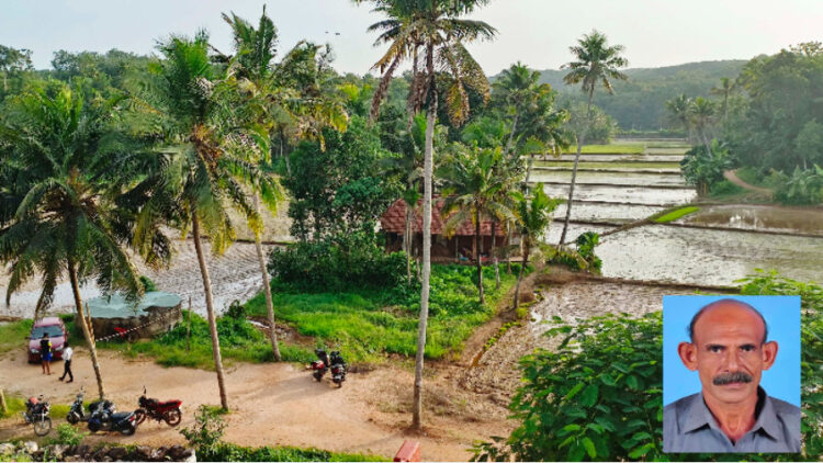 തുളസീധരൻ നായർ കൃഷിചെയ്‌തിരിക്കുന്ന കീഴ്പേരൂർ ചിറക്കരക്കാവ് ഭഗവതി ക്ഷേത്രത്തിൻറെ പടിഞ്ഞാറ് ഭാഗത്തെ വിശാലമായ  പാട ശേഖരം ഇൻസെറ്റിൽ തുളസീധരൻ നായർ