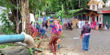 തോട്ടുങ്കര ജങ്ഷനിലെ ദുരന്താവസ്ഥയിലുള്ള മരങ്ങളുടെ ശിഖരങ്ങള്‍ മുറിച്ച് മാറ്റുന്നു