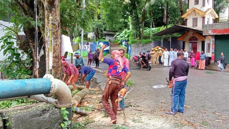 തോട്ടുങ്കര ജങ്ഷനിലെ ദുരന്താവസ്ഥയിലുള്ള മരങ്ങളുടെ ശിഖരങ്ങള്‍ മുറിച്ച് മാറ്റുന്നു