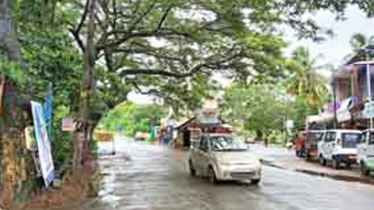 പ്ലാഴി വാഴക്കോട് സംസ്ഥാന പാതയില്‍ അപകടഭീഷണി ഉയര്‍ത്തി നില്‍ക്കുന്ന വന്‍മരങ്ങള്‍