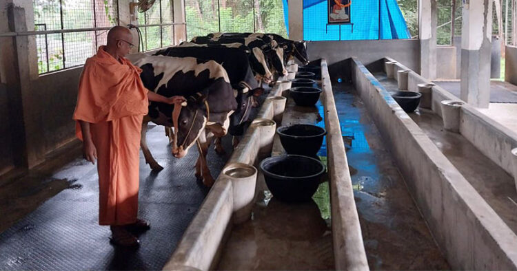 പാലക്കാട് തൃത്താല ധര്‍മ്മഗിരി ആശ്രമത്തിലെ ഗോശാല