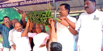 സില്‍വര്‍ ലൈന്‍ വിരുദ്ധ ജനകീയ സമിതി കോട്ടയം ജില്ലാ കമ്മിറ്റി മാടപ്പള്ളിയില്‍ തുടങ്ങിയ സത്യഗ്രഹത്തിന്റെ ഭാഗമായി നടത്തിയ പരസ്യ ലേലത്തില്‍ വാഴക്കുല വാങ്ങിയ സുമതിക്കുട്ടിയമ്മ