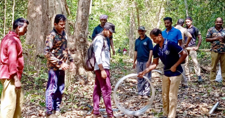 ആനപ്രതിരോധത്തിനായി വനം വകുപ്പധികൃതരുടെ നേതൃത്വത്തില്‍ ആറളം വന്യജീവി സങ്കേതം അതിര്‍ത്തിയില്‍ നടക്കുന്ന സോളാര്‍ വേലി നിര്‍മ്മാണം