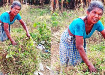 പുല്ല് പറിച്ച് കെട്ടുന്ന ഗോമതി
