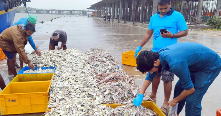 സിഎംഎഫ്ആര്‍ഐ നടത്തിയ ഏകദിന സമുദ്ര ജൈവവൈവിധ്യ പഠന സര്‍വേയില്‍ കൊല്ലം ശക്തികുളങ്ങര ഹാര്‍ബറിലെത്തിയ മീനുകളുടെ വിവരങ്ങള്‍ രേഖപ്പെടുത്തുന്ന ഗവേഷകര്‍