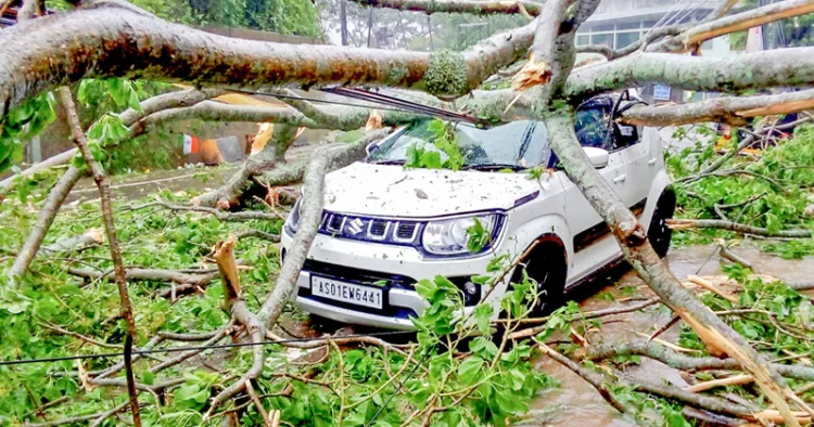 റിമാല്‍ ചുഴലിക്കാറ്റിനെത്തുടര്‍ന്ന് ആസമില്‍ മരം കടപുഴകി കാറിന് മുകളിലേക്ക് വീണപ്പോള്‍