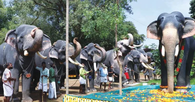 ശങ്കരംകുളങ്ങര മണികണ്ഠന്റെ പ്രതിമക്കു മുന്‍പില്‍ ഗജവീരന്മാര്‍ പ്രണാമമര്‍പ്പിക്കുന്നു