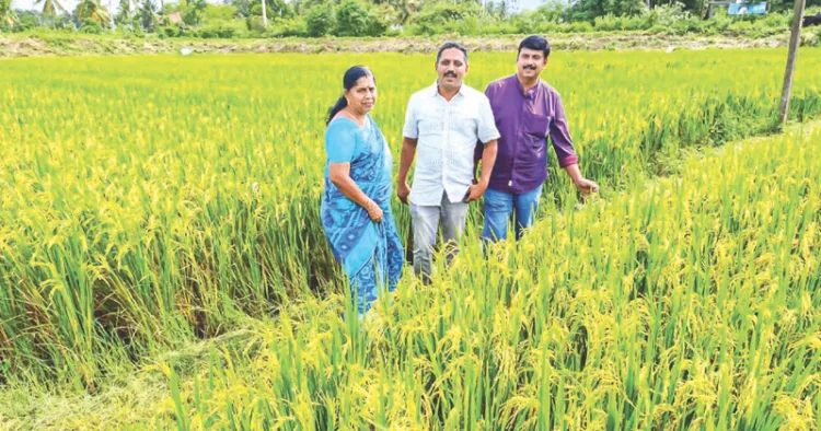 പാലക്കാട് എലപ്പുള്ളി കാരാങ്കോട് കിരണ്‍ കൃഷ്ണന്റെ പാടശേഖരം