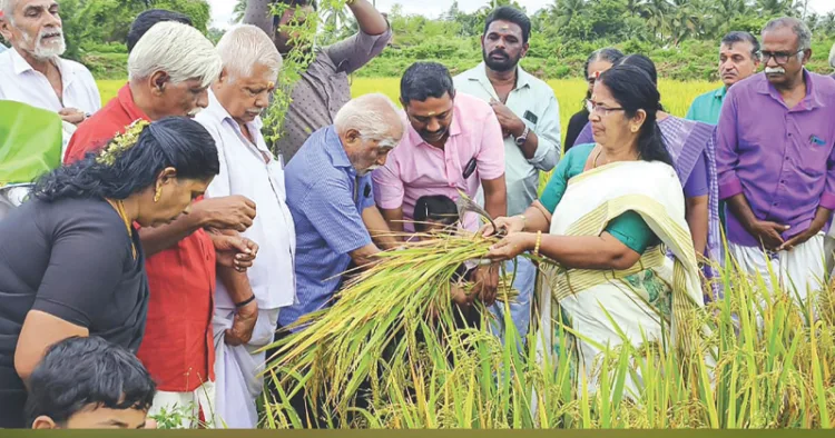 ശബരിമലയിലെ നിറപുത്തരിക്കുള്ള നെല്‍ക്കതിര്‍ കിരണ്‍ കൃഷ്ണമണിയും മകള്‍ അക്ഷരയും എലപ്പുള്ളി ഗ്രാമപഞ്ചായത്ത് പ്രസിഡന്റ് കെ. രേവതിബാബുവില്‍ നിന്ന് ഏറ്റുവാങ്ങുന്നു