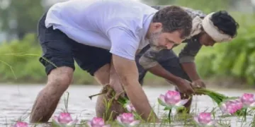 താമര വിരിയിക്കുന്ന രാഹുല്‍ ഗാന്ധി