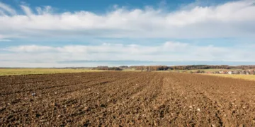 Fallow fields and fields