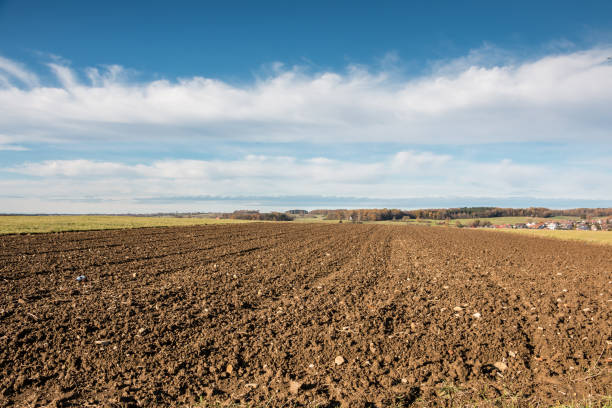 Fallow fields and fields