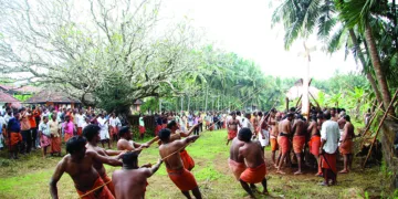 പൊടവടുക്കം ധര്‍മ്മശാസ്താ ക്ഷേത്ര വയലില്‍ പൊലിയന്ദ്രം മരം ഉയര്‍ത്തുന്നു.