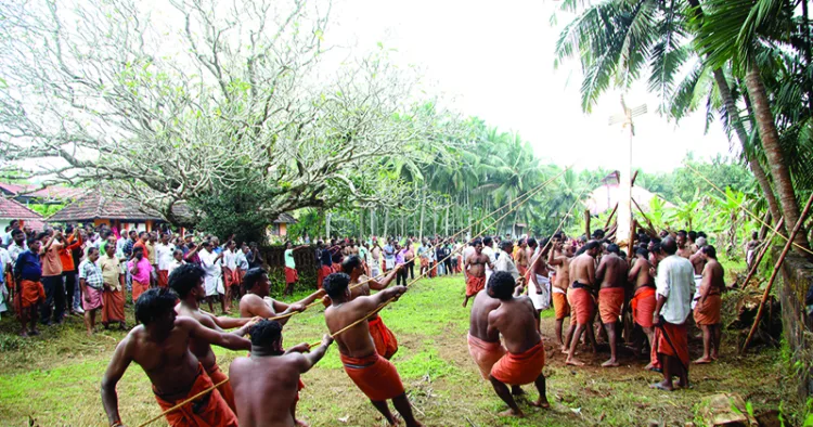 പൊടവടുക്കം ധര്‍മ്മശാസ്താ ക്ഷേത്ര വയലില്‍ പൊലിയന്ദ്രം മരം ഉയര്‍ത്തുന്നു.