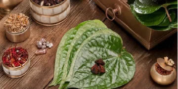 betel leaf