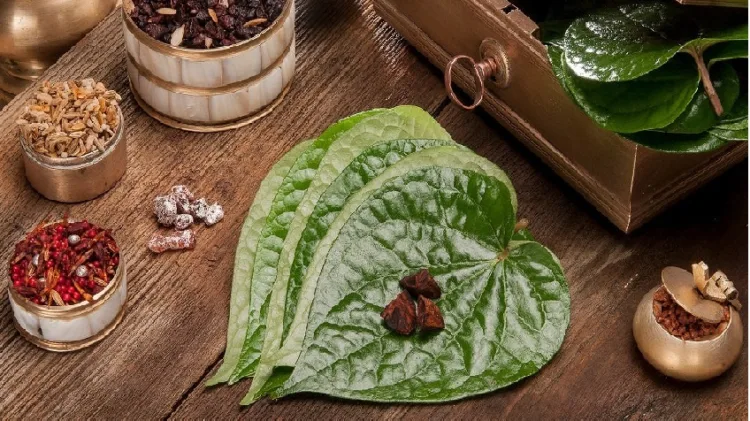 betel leaf