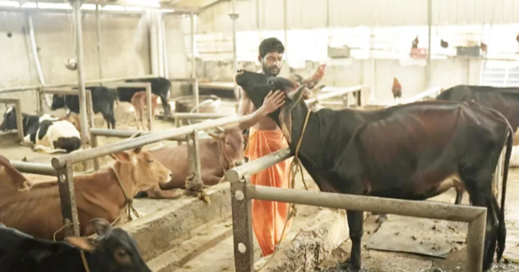 സന്നിധാനത്തെ ഗോശാലയില്‍ പശുക്കളെ പരിപാലിക്കുന്ന ആനന്ദ് സാമന്തോ