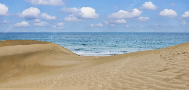 Sand dunes and the sea, Namibia, Africa.