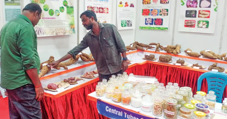 ശ്രീകാര്യം കേന്ദ്ര കിഴങ്ങ് ഗവേഷണ കേന്ദ്രം ജന്മഭൂമി പവലിയനില്‍ വിവിധയിനം കിഴങ്ങ് വര്‍ഗങ്ങള്‍ പ്രദര്‍ശിപ്പിച്ച് വിശദീകരിക്കുന്നു.