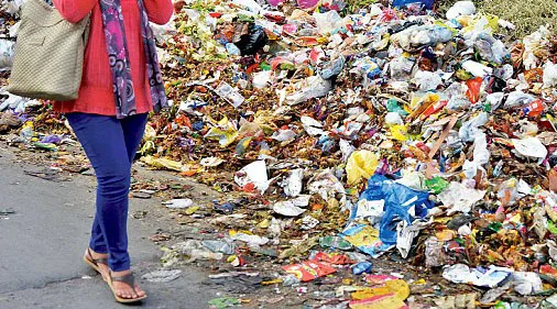 Garbage dumped on a road in East Delhi on Monday as MCD workers are on strike for the last 10 days due to non-payment of salaries for three months by the Municipal Corporations in Delhi.
Photo by K Asif
08/06/15