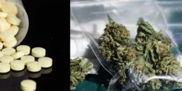 xr:d:DAFPcOlhTGw:387,j:981206787,t:22122607