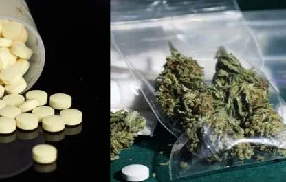 xr:d:DAFPcOlhTGw:387,j:981206787,t:22122607