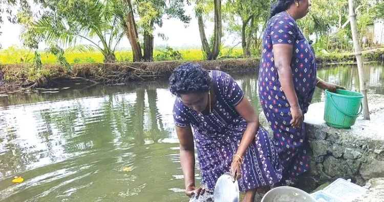 പ്രാഥമികാവശ്യങ്ങള്‍ക്ക് ഇല്ലിച്ചിറ തോട്ടിലെ മലിനജലം ശേഖരിക്കുന്ന വീട്ടമ്മമാര്‍