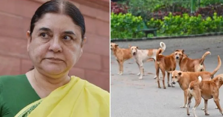 മേനകാഗാന്ധി (ഇടത്ത്)