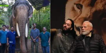 പുതുപ്പള്ളി സാധുവിനെ ചികിത്സിക്കുന്ന വന്താരയിലെ ഡോക്ടര്‍മാര്‍ (ഇടത്ത്) അനന്ത് അംബാനിയ്ക്കൊപ്പം മോദിയും വന്താരയില്‍ (വലത്ത്)