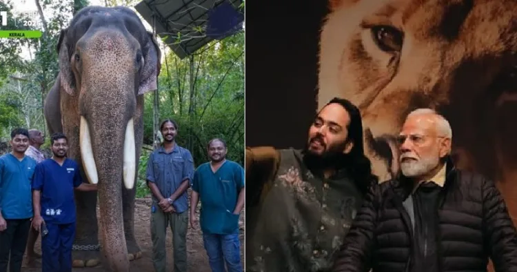 പുതുപ്പള്ളി സാധുവിനെ ചികിത്സിക്കുന്ന വന്താരയിലെ ഡോക്ടര്‍മാര്‍ (ഇടത്ത്) അനന്ത് അംബാനിയ്ക്കൊപ്പം മോദിയും വന്താരയില്‍ (വലത്ത്)