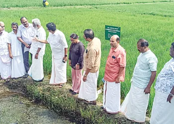 കേരളത്തിലെ നെല്‍ക്കൃഷി നേരിടുന്ന പ്രശ്‌നങ്ങള്‍ പഠിക്കാനെത്തിയ കേന്ദ്രസംഘം കുട്ടനാട് സന്ദര്‍ശനത്തിനിടെ കേരള സംയുക്ത കര്‍ഷക വേദി പ്രതിനിധികളുമായും കര്‍ഷകരുമായും ആശയവിനിമയം നടത്തുന്നു