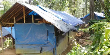 പന്തപ്രയിലെ വനവാസികള്‍ താമസിക്കുന്ന പ്ലാസ്റ്റിക് ഷീറ്റ് മറച്ച കുടിലുകളില്‍ ഒന്ന്. ഇത്തരം 60 കുടിലുകളാണ് ഇവിടെ ഉള്ളത്‌