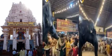 കൂക്കെ സുബ്രഹ്മണ്യ ക്ഷേത്രം (ഇടത്ത്) ആന പൊലീസുകാരനെ തള്ളിയിടുന്നു (നടുവില്‍) തടസ്സം നീങ്ങിയതോടെ കുട്ടികള്‍ ആനയുടെ മേല്‍ വെള്ളം തളിച്ച് നീരുബണ്ടി ഉത്സവം കൊണ്ടാടുന്നു (വലത്ത്)