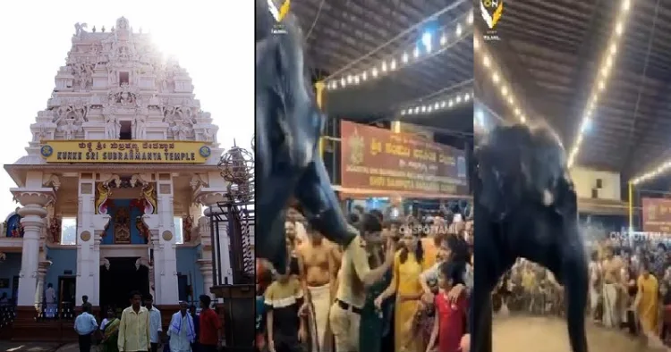 കൂക്കെ സുബ്രഹ്മണ്യ ക്ഷേത്രം (ഇടത്ത്) ആന പൊലീസുകാരനെ തള്ളിയിടുന്നു (നടുവില്‍) തടസ്സം നീങ്ങിയതോടെ കുട്ടികള്‍ ആനയുടെ മേല്‍ വെള്ളം തളിച്ച് നീരുബണ്ടി ഉത്സവം കൊണ്ടാടുന്നു (വലത്ത്)