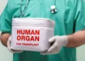 Organ transplantation