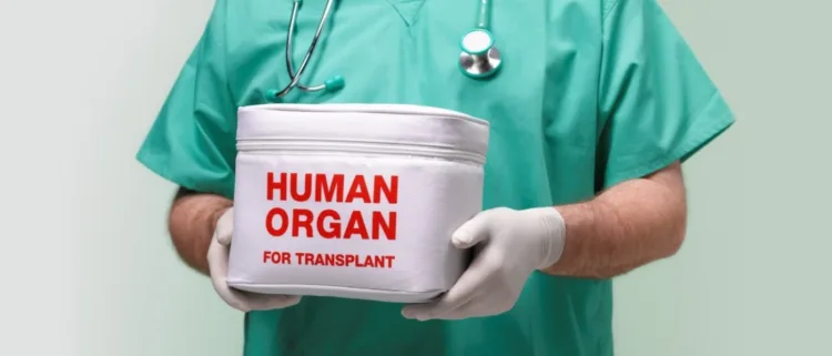 Organ transplantation