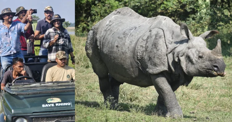 1. പോബിത്തോറയിലൂടെ ജിപ്‌സി വാഹനത്തില്‍ സഞ്ചരിക്കുന്ന മാധ്യമ സംഘം, 2. പോബിത്തോറയിലെ ഒറ്റക്കൊമ്പന്‍ കാണ്ടാമൃഗം