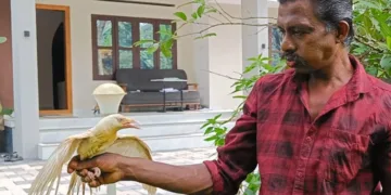 വെള്ളക്കാക്കയുമായി ബിജു