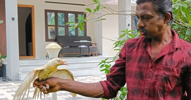 വെള്ളക്കാക്കയുമായി ബിജു