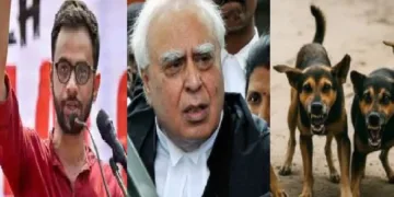 ഉമര്‍ ഖാലിദ് (ഇടത്ത്) കപില്‍ സിബല്‍ (നടുവില്‍) ആക്രമണകാരികളായ തെരുവ് നായ്ക്കള്‍ (വലത്ത്)