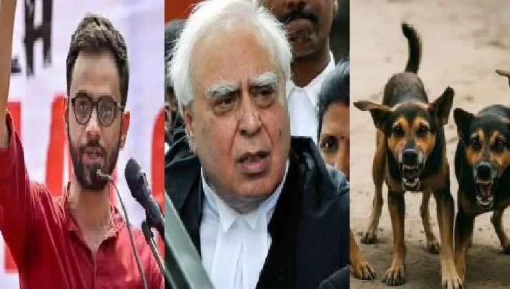 ഉമര്‍ ഖാലിദ് (ഇടത്ത്) കപില്‍ സിബല്‍ (നടുവില്‍) ആക്രമണകാരികളായ തെരുവ് നായ്ക്കള്‍ (വലത്ത്)