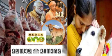 മോദി സര്‍ക്കാരിനെതിരെ സമൂഹമാധ്യമങ്ങളിലും മറ്റ് മാധ്യമങ്ങളിലും ദുഷ്ടലാക്കോടെ പ്രചരിപ്പിക്കുന്ന ബീഫ് കയറ്റുമതിയിലെ വര്‍ധനവിനെക്കുറിച്ചുള്ള ചിത്രം (ഇടത്ത്) ഗോമാതാവിനെ ആലിംഗനം ചെയ്യുന്ന പെണ്‍കുട്ടി-ഭാരതത്തിന്‍റെ പരിപാവന സങ്കല്‍പം (വലത്ത്)