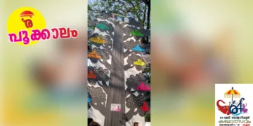 കലോത്സവ ചരിത്രമരം