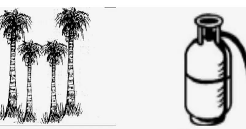 ജി സുധാകരന് തെങ്ങിന് തോട്ടം, അഹമ്മദ് ദേവര്കോവിലിന് ബക്കറ്റ് , കെ കെ രമയ്ക്ക് ടെലിവിഷന്