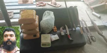 നാട്ടികയില്‍ പിടികൂടിയ കഞ്ചാവും മാരകായുധങ്ങളും. ഇന്‍സെറ്റില്‍ വിഷ്ണു