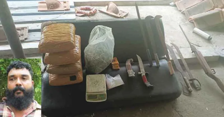 നാട്ടികയില്‍ പിടികൂടിയ കഞ്ചാവും മാരകായുധങ്ങളും. ഇന്‍സെറ്റില്‍ വിഷ്ണു