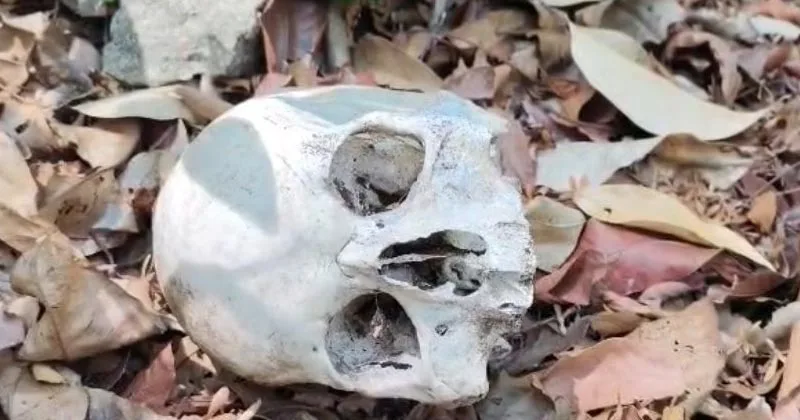 തെന്മല ഡിവിഷനിലെ കൊടും വനത്തില്‍ അസ്ഥിയും തലയോട്ടിയും കണ്ടെത്തിയത് വിറക് ശേഖരിക്കാനായി എത്തിയ സ്ത്രീകള്‍