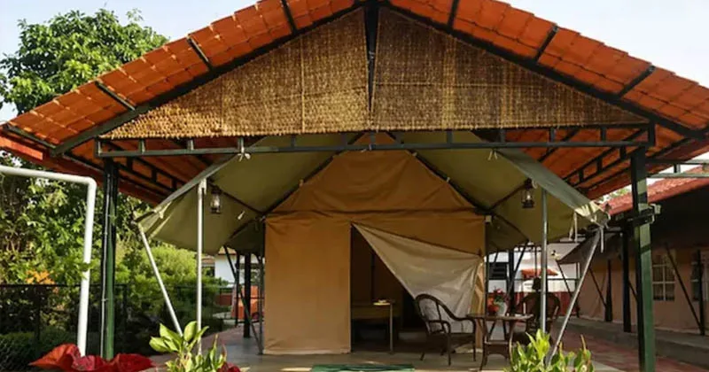 കുടകില്‍ അമേരിക്കൻ വനിതയ്‌ക്ക് നേരെ ക്രൂര പീഡനം; ഹോംസ്റ്റേയുടെ ലൈസൻസ് റദ്ദാക്കി